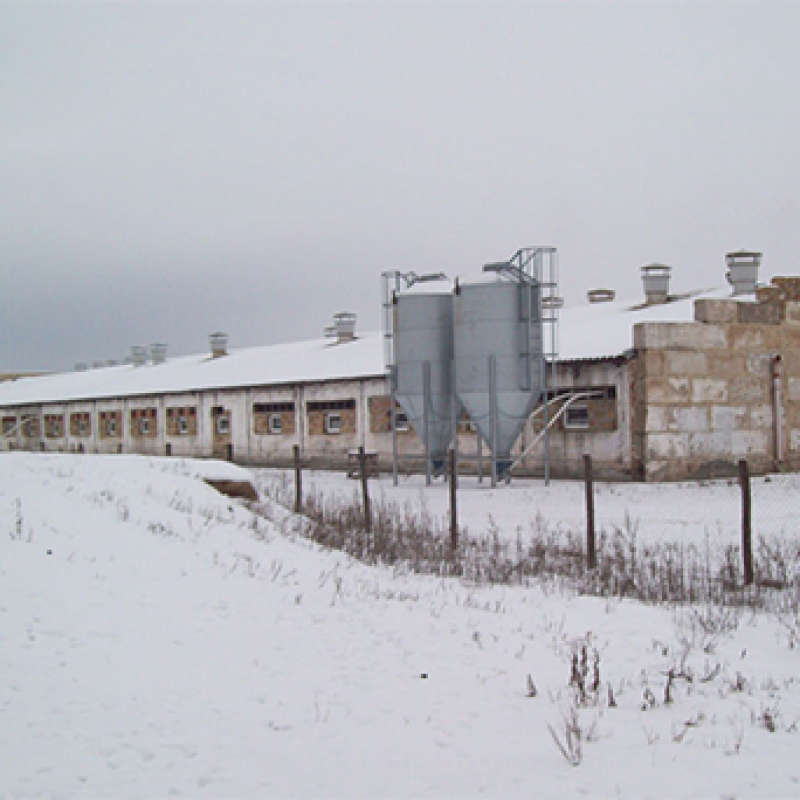 ООО «АГРОФИРМА ЛАН»