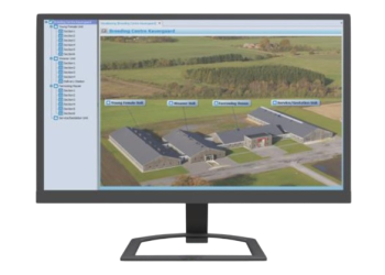 FarmOnline прасета